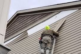 Best Steel Siding Installation  in Farmers Loop, AK